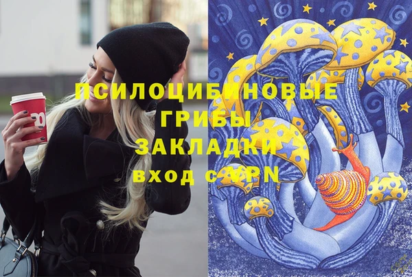 герыч Арсеньев