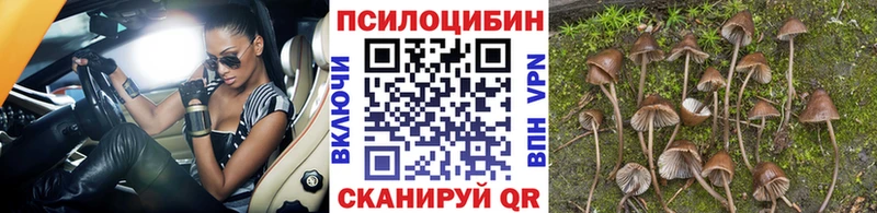 Галлюциногенные грибы Cubensis магазин продажи hydra Соль-Илецк
